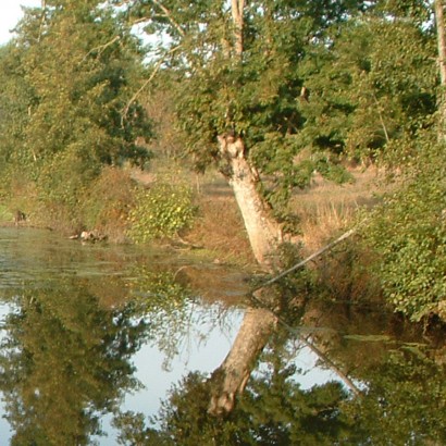 Le Beugnon - Le ruisseau de la Fontaine au Loup / Aux sources du Thouet