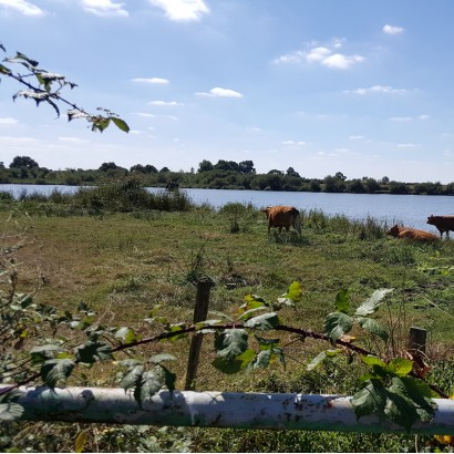 Argentonnay - Les landes de l'Étang /  Vallon et vallée au fil de l'Argenton